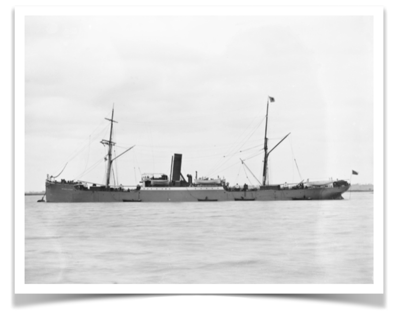 SS Gulf of Venice